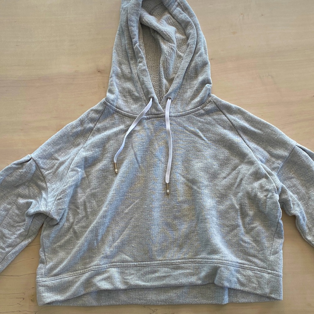 Alala Cropped Hoodie